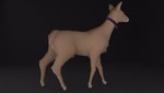 Rating: s
ID: 4567578
Date: 2024-01-30 21:51:04 -0500
Status: active
Score: 29
3d_(artwork) 3d_animation animated blender_eevee collar collar_only deer digital_media_(artwork) doriyote female feral juniper_(laserkitten) mammal new_world_deer nude short_playtime side_view simple_background solo white-tailed_deer post #4567578
