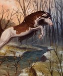 Rating: s
ID: 3871273
Date: 2023-02-13 18:52:43 -0500
Status: active
Score: 34
2023 absurd_res ambiguous_gender arabian_horse brown_hair brown_mane brown_tail creek detailed_background digital_media_(artwork) equid equine female_(lore) feral grass hair hi_res hooves horse jumping mammal mane missing_eye multicolored_body pintabian_horse plant scarla_(scarlanya) scarlanya solo tail tree two_tone_body water_drop post #3871273
