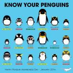 Rating: s
ID: 1432858
Date: 2018-01-21 14:30:19 -0500
Status: active
Score: 40
1:1 adelie_penguin african_penguin ambiguous_gender antarcticreport avian beak bird black_body black_feathers black_markings blue_background cetacean chinstrap_penguin countershading crested_penguin dolphin emperor_penguin english_text erect-crested_penguin eyes_closed fairy_penguin feathered_wings feathers feral fiordland_penguin front_view galápagos_penguin gentoo_penguin group happy hi_res holidays humboldt_penguin king_penguin little_penguin macaroni_penguin magellanic_penguin mammal marine markings monodontid narwhal northern_rockhopper_penguin oceanic_dolphin orange_markings penguin penguin_awareness_day rockhopper_penguin royal_penguin simple_background smile snares_crested_penguin snares_penguin southern_rockhopper_penguin standing tagging_guidelines_illustrated text toothed_whale white_body white_countershading white_markings wings yellow-eyed_penguin yellow_markings post #1432858