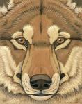 Rating: s
ID: 1658845
Date: 2018-09-21 15:44:53 -0400
Status: active
Score: 16
2010 ambiguous_form ambiguous_gender black_lips brown_body brown_eyes brown_fur canid canine countershade_face countershading dire_wolf eye_markings facial_markings front_view frown fur gouache_(artwork) head_markings headshot_portrait icon inner_ear_fluff lips looking_at_viewer mammal markings muzzle_(marking) painting_(artwork) portrait prehistoric_species signature snout snout_markings solo synnabar tan_body tan_countershading tan_markings traditional_media_(artwork) traditional_painting_(artwork) tuft whiskers post #1658845