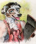 Rating: s
ID: 5663576
Date: 2025-06-23 21:50:35 -0400
Status: active
Score: 21
2025 akatan_art anthro artist_name australian_shepherd beanie black_body black_fur black_nose blue_eyes brown_body brown_fur canid canine canis clothing dog_tags domestic_dog ear_piercing ear_ring floppy_ears fluffy fur green_background hair hat headgear headwear herding_dog hi_res holding_skateboard jewelry male mammal necklace pastoral_dog pencil piercing pink_tongue ring_piercing sheepdog short_hair simple_background skateboard sleeveless_shirt solo teeth text tongue tongue_out traditional_media_(artwork) vehicle whisker_spots whiskers white_body white_fur post #5663576