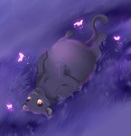 Rating: s
ID: 5557902
Date: 2025-05-08 14:19:25 -0400
Status: active
Score: 5
2015 4_toes ambiguous_gender arthropod black_body black_fur black_kitty black_tail butterfly closed_smile colored digital_drawing_(artwork) digital_media_(artwork) english_description eyelashes feet felid female feral flying fur glowing glowing_body grass grey_inner_ear grey_nose group insect insect_wings larger_female larger_feral lepidopteran lepidopteran_wings light lighting lying mammal mouth_closed on_back outside pantherine paws plant pregnant pregnant_female pregnant_feral purple_eyes purple_wings quadruped shaded size_difference smaller_ambiguous smaller_feral smile solo_focus tail tanya_kapton thin_eyebrows toes whiskers wings post #5557902