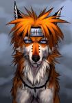 Rating: s
ID: 1885780
Date: 2019-05-28 23:57:09 -0400
Status: active
Score: 26
accessory alternate_species black_body black_fur bust_portrait canid canine daemon_amadare ear_piercing feral feralized fox fur furrification hair headband hi_res jewelry looking_at_viewer mammal naruto necklace orange_body orange_fur orange_hair pain_(naruto) piercing portrait purple_eyes solo white_body white_fur post #1885780