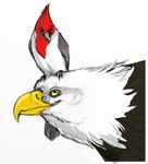 Rating: s
ID: 5196561
Date: 2024-11-21 13:52:53 -0500
Status: active
Score: 11
2009 accipitrid accipitriform avian bald_eagle beak bird brown_beak brown_body brown_eyes brown_feathers cardinal-tanager carrying_another closed_beak closed_smile colored digital_drawing_(artwork) digital_media_(artwork) duo eagle english_description feathers feral folded_wings green_eyes grey_tail grey_wings lanakila larger_feral larger_male light lighting looking_at_another lyosha male male_feral manu_koa mouth_closed multicolored_body multicolored_feathers on_another on_head oscine passerine red-crested_cardinal red_body red_feathers sea_eagle shaded simple_background size_difference smaller_feral smaller_male smile tail tail_feathers tanager white_background white_body white_feathers wings yellow_beak post #5196561