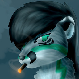 Rating: s
ID: 5770218
Date: 2025-08-10 18:26:12 -0400
Status: pending
Score: 0
1:1 anthro arctic_fox black_hair canid canine cigar cigar_in_mouth ears_back femboy fox fur grey_background grey_body grey_fur hair inner_ear_fluff male mammal object_in_mouth pivoted_ears shiruba_lockraith shirubafoxy simple_background smoking smoking_cigar smoking_tobacco solo teal_eyes true_fox tuft white_face post #5770218