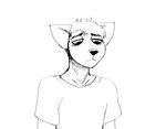 post #2564702