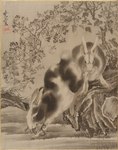 Rating: s
ID: 4414816
Date: 2023-11-14 18:17:26 -0500
Status: active
Score: 5
1887 19th_century absurd_res ambiguous_gender amphibian ancient_art black_eyes feral fur grass grey_body grey_fur group hi_res imminent_death in_mouth japanese_text kawanabe_kyosai lagomorph leporid long_ears looking_at_viewer mammal multicolored_body multicolored_fur open_mouth paws plant rabbit salamander scared scut_tail short_tail tail text traditional_media_(artwork) tree trio two_tone_body two_tone_fur whiskers white_body white_fur woodblock_print post #4414816