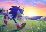 Rating: s
ID: 5653132
Date: 2025-06-19 10:05:28 -0400
Status: active
Score: 6
2021 5_fingers anthro apotos biped black_nose blue_body blue_fur clothing countershade_fur countershading day detailed_background digital_drawing_(artwork) digital_media_(artwork) digital_painting_(artwork) eulipotyphlan fingers footwear fur gloves grass grass_field green_eyes handwear hedgehog hi_res light lineless male mammal multicolored_clothing multicolored_footwear multicolored_shoes outside painting_(artwork) plant red_clothing red_footwear red_shoes redraw rock running sea seaside sega shaded shadow shoes siggiedraws signature sky skyline smile solo sonic_the_hedgehog sonic_the_hedgehog_(series) sonic_unleashed sun sunlight sunrise tan_body tan_countershading tan_fur two_tone_clothing two_tone_footwear two_tone_shoes water white_clothing white_footwear white_gloves white_handwear white_shoes windmill post #5653132