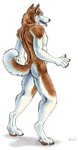 Rating: s
ID: 4674356
Date: 2024-03-23 00:29:25 -0400
Status: active
Score: 64
anthro blotch blue_eyes butt canid canine canis claws curled_tail digitigrade domestic_dog fingers fur husky male mammal nickel_(nordguard) nordguard nordic_sled_dog nude orange_body orange_fur pawpads siberian_husky simple_background solo spitz tail tongue tongue_out traditional_media_(artwork) white_background white_body white_fur post #4674356