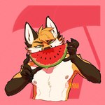 Rating: s
ID: 5401107
Date: 2025-02-27 14:03:11 -0500
Status: active
Score: 22
0ct0m0n0 anthro arm_tuft artist_name black_pawpads brown_body brown_fur canid canine cheek_tuft chest_tuft facial_tuft fingerpads food fox front_view fruit fur gloves_(marking) green_eyes hair hi_res holding_food holding_fruit holding_melon holding_object holding_watermelon inner_ear_fluff looking_at_viewer male mammal markings melon narrowed_eyes orange_body orange_fur orange_hair pawpads plant pupils red_pupils short_hair shoulder_tuft solo text tuft watermelon white_body white_fur white_inner_ear_fluff post #5401107