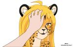 Rating: s
ID: 1023701
Date: 2016-10-16 15:53:25 -0400
Status: active
Score: 135
2d_animation animated anthro black_spots blonde_hair caressing cheetah conditional_dnp disembodied_hand duo evov1 eyelashes eyes_closed felid feline female fur hair human inner_ear_fluff long_hair mammal mihari motion_tweening orange_body orange_eyes orange_fur petting short_playtime simple_background smile spots tuft white_background white_body white_fur post #1023701