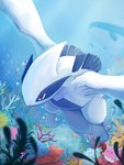Rating: s
ID: 5046219
Date: 2024-09-12 17:14:50 -0400
Status: active
Score: 86
2021 3:4 3_toes air_bubble ambient_coral ambient_fish ambient_pokemon ambient_sealife ambiguous_gender anthozoan aquatic_dragon beady_eyes bivalve black_eyes blue_body blue_fins blue_markings blue_skin blurred_foreground bubble cetacean chufflepop clamperl cnidarian colored coral corsola countershading digital_media_(artwork) digital_painting_(artwork) dragon echinoderm feet feral fish front_view generation_1_pokemon generation_2_pokemon generation_3_pokemon generation_7_pokemon group head_spikes hi_res kelp legendary_pokemon light lugia mammal marine markings mollusk mythological_creature mythological_scalie mythology nintendo painting_(artwork) pink_body pokemon pokemon_(species) pupils red_eyes scalie solo_focus spikes spikes_(anatomy) staryu swimming tail thick_tail toes underwater wailmer wailord water white_body white_countershading white_skin white_spikes white_tail white_wings winged_arms wings wishiwashi wishiwashi_(solo_form) post #5046219