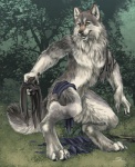 Rating: s
ID: 657446
Date: 2015-05-19 04:52:19 -0400
Status: active
Score: 55
2015 after_transformation anthro canid canine canis claws clothing detailed_background digitigrade forest fur grey_body grey_fur lykanos male mammal mythological_canine mythological_creature mythology nude outside plant sabretoothed_ermine smile solo torn_clothing transformation tree werecanid werecanine werecreature werewolf wolf yellow_eyes post #657446