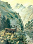 Rating: s
ID: 3852547
Date: 2023-02-04 01:17:02 -0500
Status: active
Score: 60
1908 20th_century absurd_res adolf_hitler_(artist) ancient_art antlers brown_body brown_fur cervine cloud dated day deer elk feral forest formal_art fur grass hi_res horn male mammal mountain nature nature_background open_mouth outside painting_(artwork) plant rock signature solo traditional_media_(artwork) tree water post #3852547