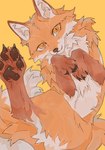 Rating: s
ID: 5580539
Date: 2025-05-18 03:27:08 -0400
Status: pending
Score: 34
2025 999gravity ambiguous_gender canid canine claws feet feral fluffy foot_focus fox fur hi_res looking_at_viewer mammal orange_body orange_eyes orange_fur pawpads paws signature simple_background solo tail whiskers post #5580539