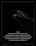 Rating: s
ID: 5640168
Date: 2025-06-13 18:31:44 -0400
Status: active
Score: 4
2025 4:5 absurd_res anthro avian baleen_whale bird black_background border bumpy_skin cetacean comic crazy_eyes darkness duo greyscale hi_res humpback_whale maccaw_(sharkinthepark) male mammal marine monochrome owl sea sharkinthepark simple_background sucking text underwater upside_down water wave whale post #5640168