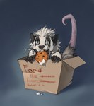 Rating: s
ID: 4595345
Date: 2024-02-12 16:05:18 -0500
Status: active
Score: 30
5_fingers ambiguous_gender american_opossum anthro badger black_body black_fur black_nose box conditional_dnp container cookie digital_media_(artwork) dreadlocks ear_piercing english_text fingers food fur hair hi_res hybrid looking_away mammal markings marsupial mottled mottled_body mottled_skin mottled_tail mustelid musteline nude open_mouth piercing pink_body pink_skin simple_background smile solo spots spotted_markings spotted_tail tail tail_markings teeth tega_(tgt1512) text tgt1512 white_body white_fur white_hair post #4595345