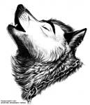 Rating: s
ID: 612720
Date: 2015-03-01 09:55:48 -0500
Status: active
Score: 12
2015 blackteagan bust_portrait canid canine canis chain choke_chain collar detailed ear_piercing eyes_closed feral fur greyscale howl male mammal monochrome open_mouth piercing portrait side_view simple_background sketch solo teeth whiskers white_background wolf post #612720