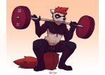 Rating: s
ID: 1550390
Date: 2018-05-20 09:57:48 -0400
Status: active
Score: 6
2018 blue_eyes bottomwear brown_body brown_fur brown_nose claws clothed clothing crouching digital_media_(artwork) domestic_ferret ember_(disambiguation) exercise fingerless_gloves fur gloves hair handwear hi_res kawfee looking_down male mammal muscular muscular_male mustelid musteline red_hair red_tail shaded shorts simple_background solo sportswear tail teeth topless true_musteline weasel weightlifting weights white_body white_fur workout post #1550390