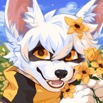 Rating: s
ID: 5650409
Date: 2025-06-18 04:52:22 -0400
Status: active
Score: 9
1:1 ambiguous_gender anthro black_nose black_scarf blue_sky canid canine corzh77 day flower fur glistening glistening_eyes hair hi_res looking_at_viewer mammal open_mouth open_smile outside plant scarf short_hair sky smile solo white_body white_fur white_hair yellow_eyes yellow_flower yellow_scarf post #5650409