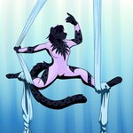 Rating: s
ID: 5018885
Date: 2024-08-30 01:37:25 -0400
Status: active
Score: 4
1:1 4_toes aerial_silk anthro barefoot black_body black_fur black_hair black_nose black_pawpads clothed clothing digitigrade eyes_closed feet felid female foxenawolf fur hair mammal markings naru_(triaszephyr) pawpads paws silk_dancing soles solo spots spotted_body spotted_fur tail toes unitard post #5018885