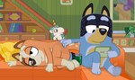 Rating: s
ID: 4862014
Date: 2024-06-18 12:26:09 -0400
Status: active
Score: 86
alcohol animate_inanimate anthro australian_cattle_dog ball bandit_heeler beer beverage beverage_can black_body black_fur bluey_(series) brown_body brown_fur butt_scratch canid canine canis canon_couple cattledog chilli_heeler dm29 domestic_dog duo equid equine facial_markings female fur furniture glaring gloves_(marking) head_markings herding_dog horn husband_and_wife jealous leg_markings lying male mammal markings married_couple mask_(marking) mythological_creature mythological_equine mythology oblivious on_side orange_body orange_fur pastoral_dog pillow puppet romantic romantic_couple scratching_butt shelf sitting socks_(marking) sofa tablet_computer tan_body tan_fur tennis_ball underpaw unicorn unicorn_horn unicorse post #4862014
