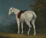 Rating: s
ID: 5586814
Date: 2025-05-20 19:06:23 -0400
Status: active
Score: 13
1806 19th_century absurd_res ambiguous_gender ancient_art butt equid equine feral formal_art full-length_portrait fur grass halter hi_res hooves horse jacques-laurent_agasse looking_at_viewer looking_back looking_back_at_viewer mammal mane mountain mouth_closed outside painting_(artwork) plant portrait rear_view saddle shaded shadow snout soft_shading solo standing three-quarter_view traditional_painting_(artwork) tree white_body white_fur post #5586814