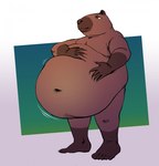 post #5641881
