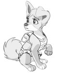 Rating: s
ID: 5150926
Date: 2024-10-31 08:35:18 -0400
Status: active
Score: 40
2024 angel_(lady_and_the_tramp) backpack bottomwear canid canine canis clothed clothed_feral clothing crop_top disney domestic_dog eyebrows female feral floppy_ears fluffy fluffy_tail head_tuft husky lady_and_the_tramp looking_aside mammal mixed_breed monochrome nordic_sled_dog pomeranian quadruped raised_leg school_uniform shirt simple_background sitting skirt solo spitz tail topwear tuft uniform white_background wugi post #5150926