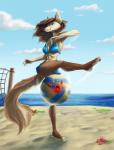 Rating: s
ID: 758482
Date: 2015-10-30 20:16:28 -0400
Status: active
Score: 24
2014 abs akira_volfsar alex_(bering) anthro arthropod athletic athletic_anthro athletic_female ball beach beach_ball bikini biped breasts canid canine clothing cloud crab crustacean decapod digital_media_(artwork) duo fangs female feral fox half-closed_eyes hi_res inflatable inner_ear_fluff malacostracan mammal marine narrowed_eyes net outside pool_toy sand seaside shaded smile solo_focus standing swimwear teeth tuft two-piece_swimsuit volleyball_(ball) volleyball_net post #758482