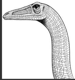 Rating: s
ID: 2130352
Date: 2020-01-27 03:00:51 -0500
Status: active
Score: 4
coelophysid coelophysis coelophysis_bauri dahurgthedragon detailed dinosaur featherless feral long_neck monochrome portrait prehistoric_species realistic reptile scales scalie simple_background solo theropod post #2130352