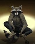 Rating: s
ID: 915604
Date: 2016-06-10 15:07:07 -0400
Status: active
Score: 3
2016 4:5 anthro clothed clothing conditional_dnp crouching digitigrade emptyset fluffy hi_res looking_at_viewer male mammal procyonid raccoon realistic reven solo spread_legs spreading topless post #915604