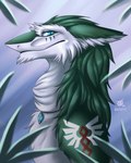 Rating: s
ID: 3285651
Date: 2022-04-18 01:29:03 -0400
Status: active
Score: 15
2022 ambiguous_gender arm_tattoo blue_eyes chin_tuft digital_media_(artwork) ezcett facial_markings facial_tuft fur green_body green_fur green_hair hair head_markings headshot_portrait hi_res jericho_(belmont01) jewelry looking_aside looking_at_viewer markings necklace plant portrait sergal simple_background smile solo tattoo tuft white_body white_fur post #3285651