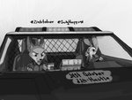 post #2464726