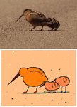 Rating: s
ID: 2239025
Date: 2020-05-02 08:19:43 -0400
Status: active
Score: 188
ambiguous_gender american_woodcock animated avian avian_feet beak beak_size_difference biped bird black_beak black_eyes bodily_fluids brown_body brown_feathers child dark_beak dark_eyes digital_media_(artwork) dot_eyes feathers feral flipnote_studio_(artwork) flying_sweatdrops frame_by_frame group keke_(artist) larger_ambiguous long_beak loop low_res meme monotone_beak multicolored_body multicolored_feathers narrow_beak noodle_legs orange_body orange_feathers parent_(lore) parent_and_child_(lore) pink_body pink_feathers pointy_beak red_beak reference_image sandpiper scolopacid shorebird short_playtime simple_background simple_eyes size_difference smaller_ambiguous standing sweat sweatdrop tan_body tan_feathers white_body white_feathers woodcock yellow_body young young_feral post #2239025