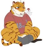 Rating: s
ID: 1444330
Date: 2018-02-01 22:41:31 -0500
Status: active
Score: 7
anthro bighornsheep_(artist) biped blush clothed clothing drugs felid footwear legwear male mammal muscular muscular_anthro muscular_male open_mouth pantherine pictographics pills question_mark shirt simple_background sitting smile socks solo speech_bubble tiger topwear white_background post #1444330