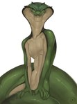 Rating: s
ID: 5657432
Date: 2025-06-21 05:19:42 -0400
Status: active
Score: 31
absurd_res anthro apode cobra deadlock draconcopode front_view green_body hi_res legless looking_at_viewer male naga reptile scalie serpentine simple_background slim snake snake_hood snorlaxk solo valve vyper_(deadlock) white_background post #5657432