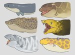 Rating: s
ID: 5619714
Date: 2025-06-04 00:10:56 -0400
Status: active
Score: 41
aoihinoki1024 brown_body dot_eyes eel feral fin fish gills glistening glistening_body grey_body group headshot_portrait hi_res marine markings open_mouth portrait signature simple_background simple_eyes spots spotted_body striped_body stripes teeth tongue yellow_body post #5619714