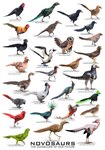 Rating: s
ID: 4969789
Date: 2024-08-07 11:51:10 -0400
Status: active
Score: 15
ambiguous_gender anatid andy_frazer anseriform anserinae avian biped bird black_body black_feathers blue-footed_booby booby_(bird) brown_body brown_feathers chicken claws corvid dinosaur english_text feathered_dinosaur feathered_scalie feathers feral flamingo galliform gallus_(genus) goose green_body green_feathers grey_body grey_feathers hi_res male novosaur open_mouth oscine owl parrot passerine peafowl phasianid prehistoric_species quail red_body red_feathers reptile scalie speculative_evolution speculative_species sulid suliform text theropod turkey post #4969789