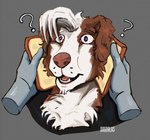 Rating: s
ID: 5648896
Date: 2025-06-17 14:07:17 -0400
Status: active
Score: 4
anthro blush border_collie bread brown_body brown_fur canid canine canis collie dagdalas domestic_dog eldridge_moran food fur hair herding_dog idiot_sandwich looking_at_viewer male mammal open_mouth pastoral_dog sheepdog shocked simple_background solo white_body white_fur post #5648896