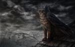 2015 ambiguous_gender avian chimera day detailed_background digital_media_(artwork) feathered_wings feathers felid feline feral fur hi_res mammal outside paws sitting sky solo wings wolfroad