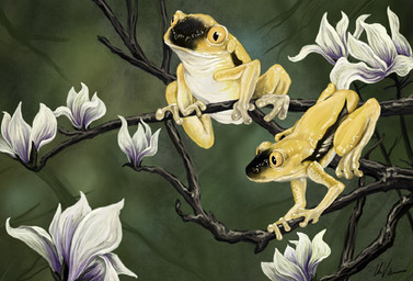 ambiguous_gender amphibian duo feral flower frog magnolia plant tree ursula_vernon yellow_eyes
Rating: Safe
Score: 3
User: Clawstripe
Date: September 10, 2017 ambiguous_gender amphibian duo feral flower frog magnolia plant tree ursula_vernon yellow_eyes
Rating: Safe
Score: 3
User: Clawstripe
Date: September 10, 2017