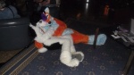 Rating: s
ID: 256261
Date: 2012-10-11 11:41:15 -0400
Status: active
Score: 7
16:9 absurd_res ambiguous_gender animalia anthro askabanium canid canine canis clothing costume cuddling domestic_dog duo eurofurence fox fursuit germany grandfathered_content hi_res husky magdeburg mammal melody_(sithy) nordic_sled_dog okill real spitz widescreen wolf post #256261