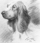 Rating: s
ID: 1463994
Date: 2018-02-22 00:14:49 -0500
Status: active
Score: 226
1929 20th_century ambiguous_gender ancient_art bust_portrait canid canine canis dated domestic_dog feral floppy_ears forgery_(artwork) formal_art graphite_(artwork) greyscale lol_comments long_ears looking_at_viewer low_res mammal monochrome portrait quadruped realistic shaded signature simple_background solo traditional_media_(artwork) unknown_artist post #1463994