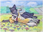 Rating: s
ID: 5599802
Date: 2025-05-26 13:08:23 -0400
Status: active
Score: 27
absurd_res belfort_(belfort_and_lupin) belfort_and_lupin bird_dog black_body black_fur brittany_spaniel canid canine canis cuddling detailed_background domestic_dog duo feral flower fur grass hi_res hunting_dog hybrid lupin_(belfort_and_lupin) lying lying_on_ground male mammal on_ground open_mouth outside painting_(artwork) plant smile spaniel tail tail_motion tailwag traditional_media_(artwork) traditional_painting_(artwork) traditional_watercolor_(artwork) ultranidd watercolor_(artwork) white_body white_fur wolf wolfdog post #5599802