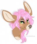 Rating: s
ID: 1856203
Date: 2019-04-27 12:44:34 -0400
Status: active
Score: 49
2019 ambiguous_form ambiguous_gender brown_body brown_fur cervine deer digital_drawing_(artwork) digital_media_(artwork) eyebrow_through_hair eyebrows freckles fur green_eyes grey_nose hair headshot_portrait hi_res male_(lore) mammal northfelle pink_hair portrait sammi_(sammi_kay) simple_background solo tan_inner_ear translucent translucent_hair white_background post #1856203