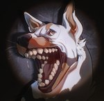 Rating: s
ID: 5649939
Date: 2025-06-17 22:59:52 -0400
Status: active
Score: 1
ambiguous_gender black_nose blackscour bodily_fluids brown_eyes canid canine cheek_tuft facial_tuft feral fur hi_res mammal mouth_shot open_mouth orange_body orange_fur pupils saliva saliva_string solo teeth tuft white_body white_fur white_pupils post #5649939
