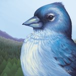 Rating: s
ID: 4646038
Date: 2024-03-08 21:07:50 -0500
Status: active
Score: 24
1:1 2017 ambiguous_feral ambiguous_gender avian beady_eyes beak bird black_eyes blue_beak blue_body blue_feathers blue_sky bust_portrait caymartworks day detailed detailed_background detailed_feathers dipstick_beak eye_markings feathered_wings feathers feral finch folded_wings forest hi_res markings mountain nature oscine outside passerine plant portrait side_view sky solo tenerife_blue_chaffinch tree true_finch white_body white_feathers wings post #4646038