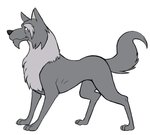 Rating: s
ID: 2667529
Date: 2021-03-24 10:50:07 -0400
Status: active
Score: 10
akela black_and_white canid canine canis chin_tuft facial_tuft feral fur grey_body grey_fur jungle_book_shonen_mowgli male mammal monochrome simple_background sketch smile solo thegreatmatsutzu tuft white_background wolf post #2667529