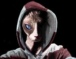 Rating: s
ID: 5655056
Date: 2025-06-20 06:11:13 -0400
Status: active
Score: 1
2014 anthro blue_sclera brown_body bust_portrait domestic_cat felid feline felis hairless hairless_cat hood male mammal naircat painting portrait realistic solo sphynx_(cat) tan_body two_tone_hoodie post #5655056